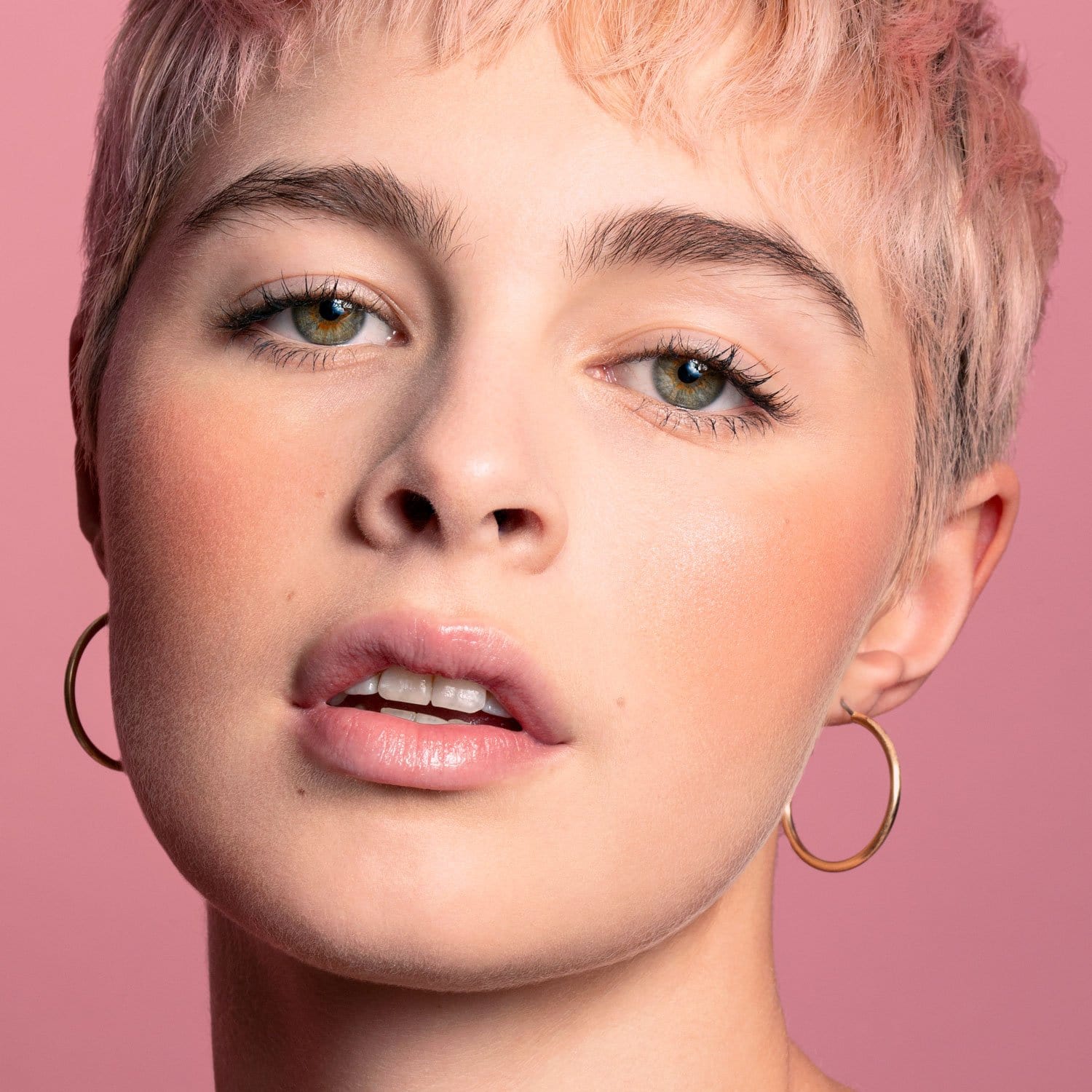 ombré blush Makeup powder blusher